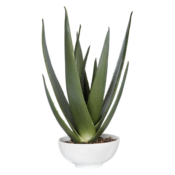 Evarado Aloe Planter with glossy white textured bowl and natural stone accents.