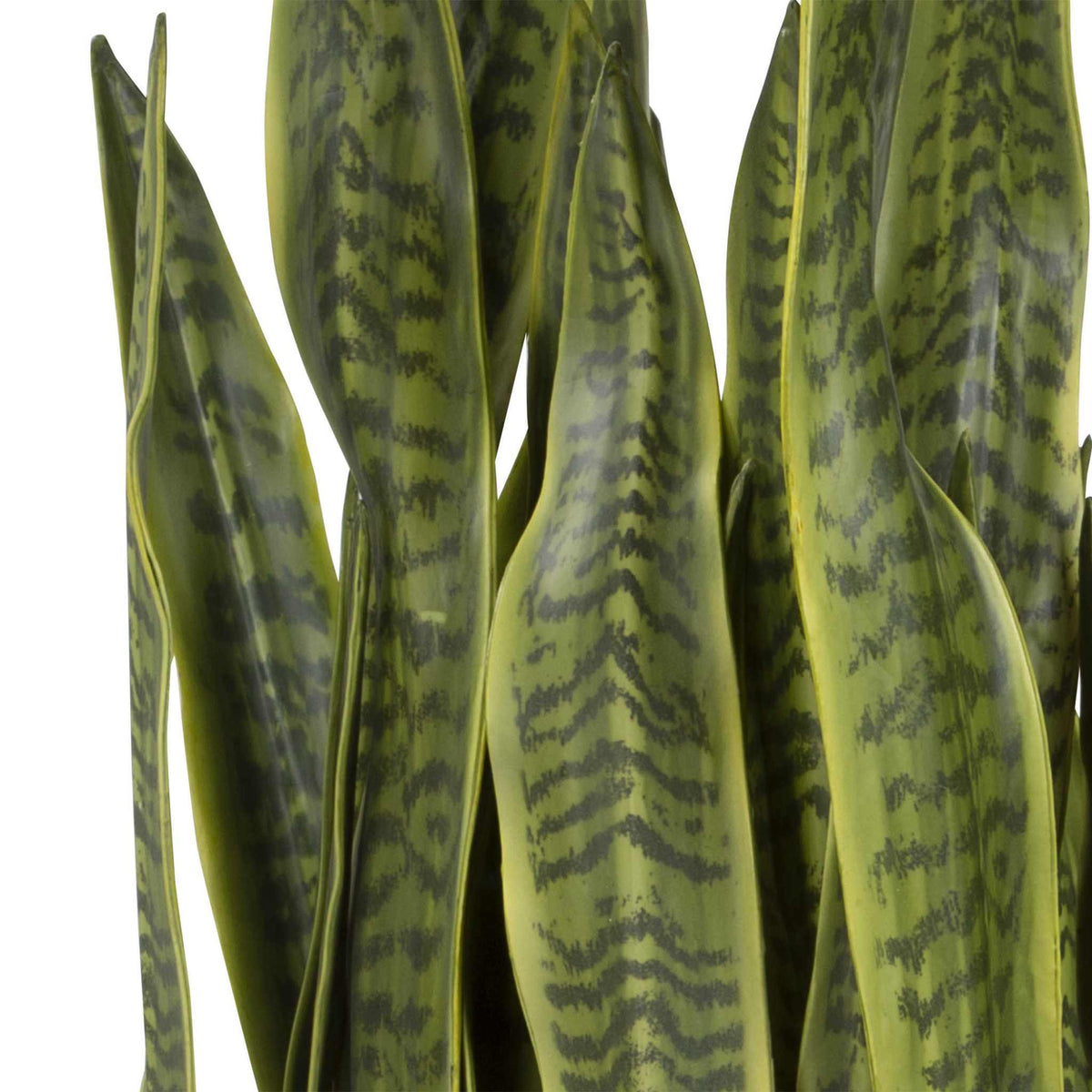 Life-like snake plant with antique brass pot and sleek black metal stand, Fasita Planter.
