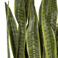 Life-like snake plant with antique brass pot and sleek black metal stand, Fasita Planter.