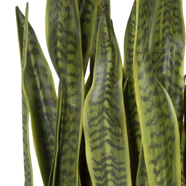 Life-like snake plant with antique brass pot and sleek black metal stand, Fasita Planter.