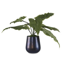 home decor accent plant