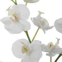 White Glory Orchid with realistic appearance for home or office decor.