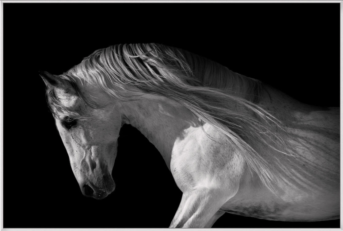 Leaning In Framed Art