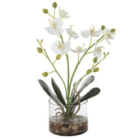 White Glory Orchid in clear glass container with faux water and natural river stones, adding elegance to any room.