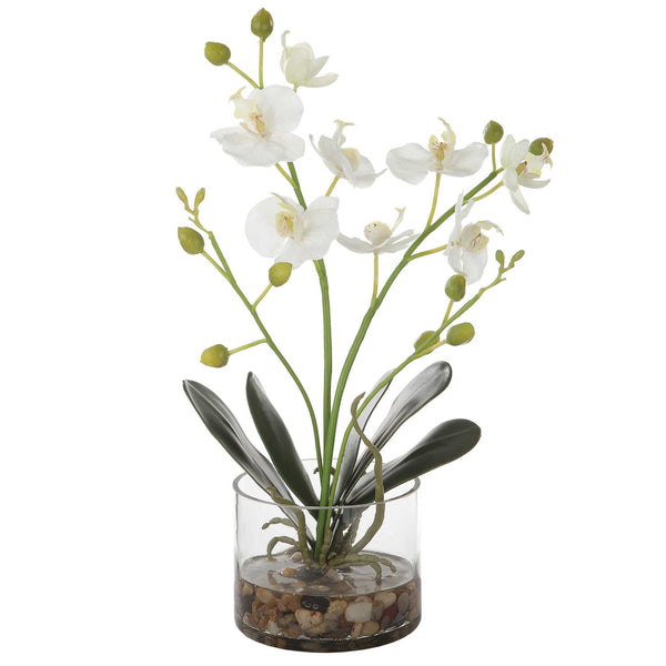 White Glory Orchid in clear glass container with faux water and natural river stones, adding elegance to any room.