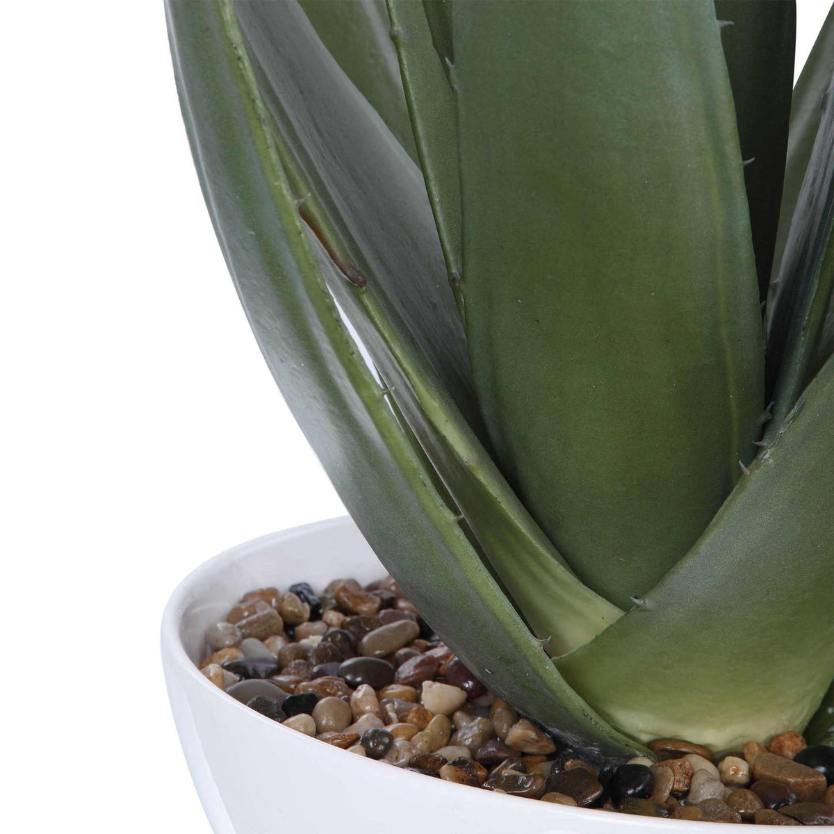 Evarado Aloe Planter with textured glossy white bowl and natural stones.