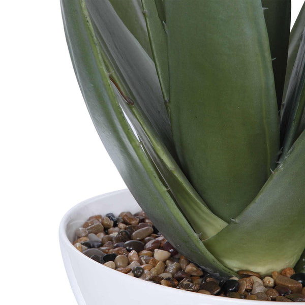Evarado Aloe Planter with textured glossy white bowl and natural stones.