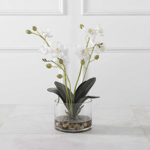 White Glory Orchid in a glass container with faux water and river stones, enhancing room elegance.