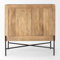 Cairo 2 Door Wood and Metal Cabinet
