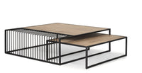 Miles Metal w/ Wood Nesting Coffee Table