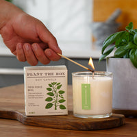 Fresh Picked Basil - Plant the Box Candle - 9oz.