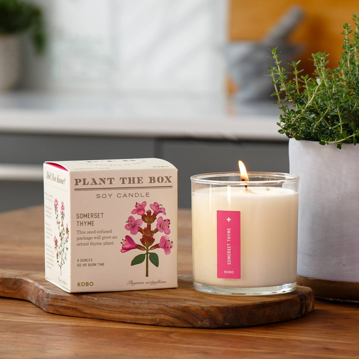 Somerset Thyme - Plant the Box Candle - 9oz.