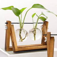 Plant Propagating Stand