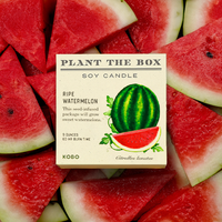Ripe Watermelon - Plant the Box Candle - 9oz.