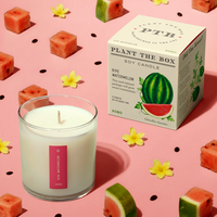 Ripe Watermelon - Plant the Box Candle - 9oz.