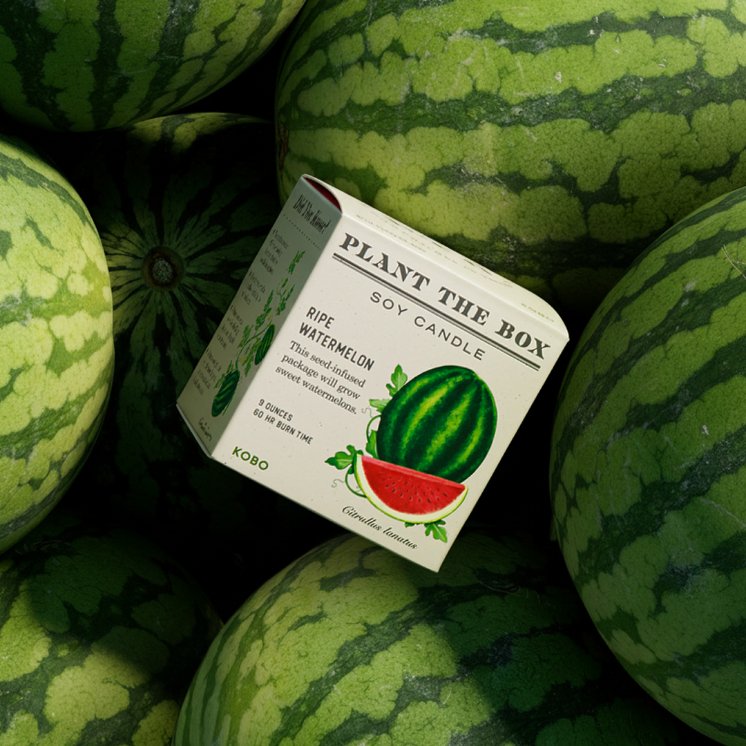 Ripe Watermelon - Plant the Box Candle - 9oz.