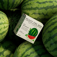 Ripe Watermelon - Plant the Box Candle - 9oz.