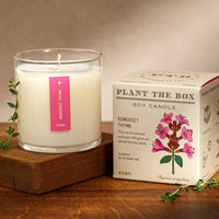 Somerset Thyme - Plant the Box Candle - 9oz.