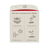 Ripe Watermelon - Plant the Box Candle - 9oz.