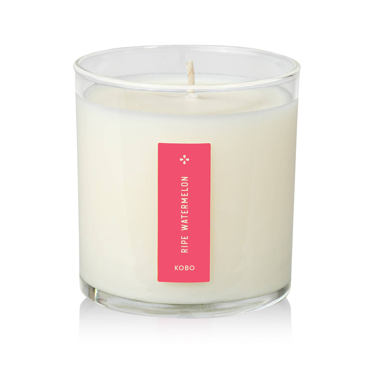 Ripe Watermelon - Plant the Box Candle - 9oz.