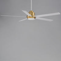Daisy 60" Natural Aged Brass Indoor/Outdoor Ceiling Fan