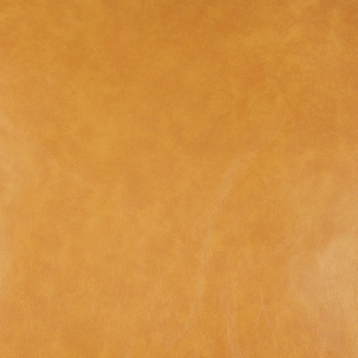D'Arcy Leather Sofa
