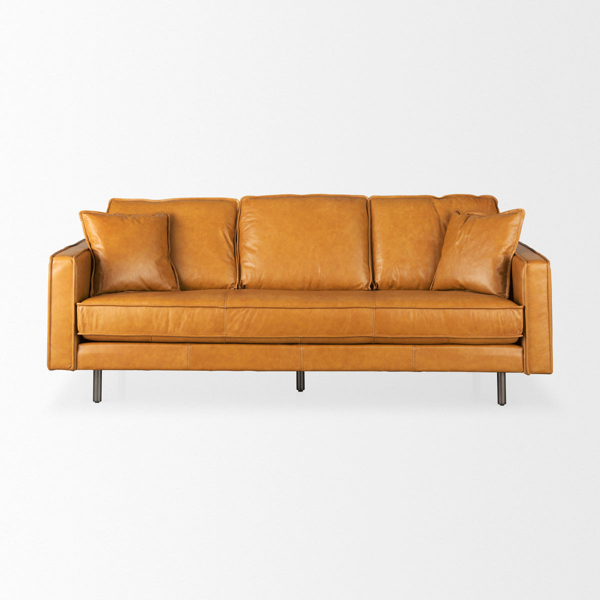 D'Arcy Leather Sofa