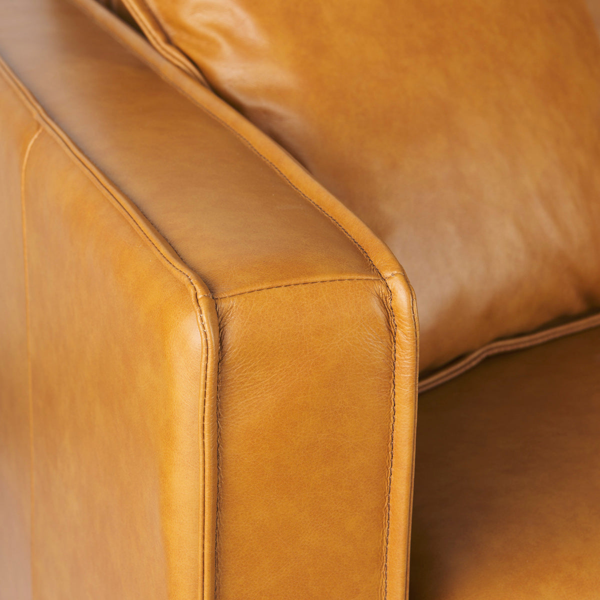 D'Arcy Leather Sofa