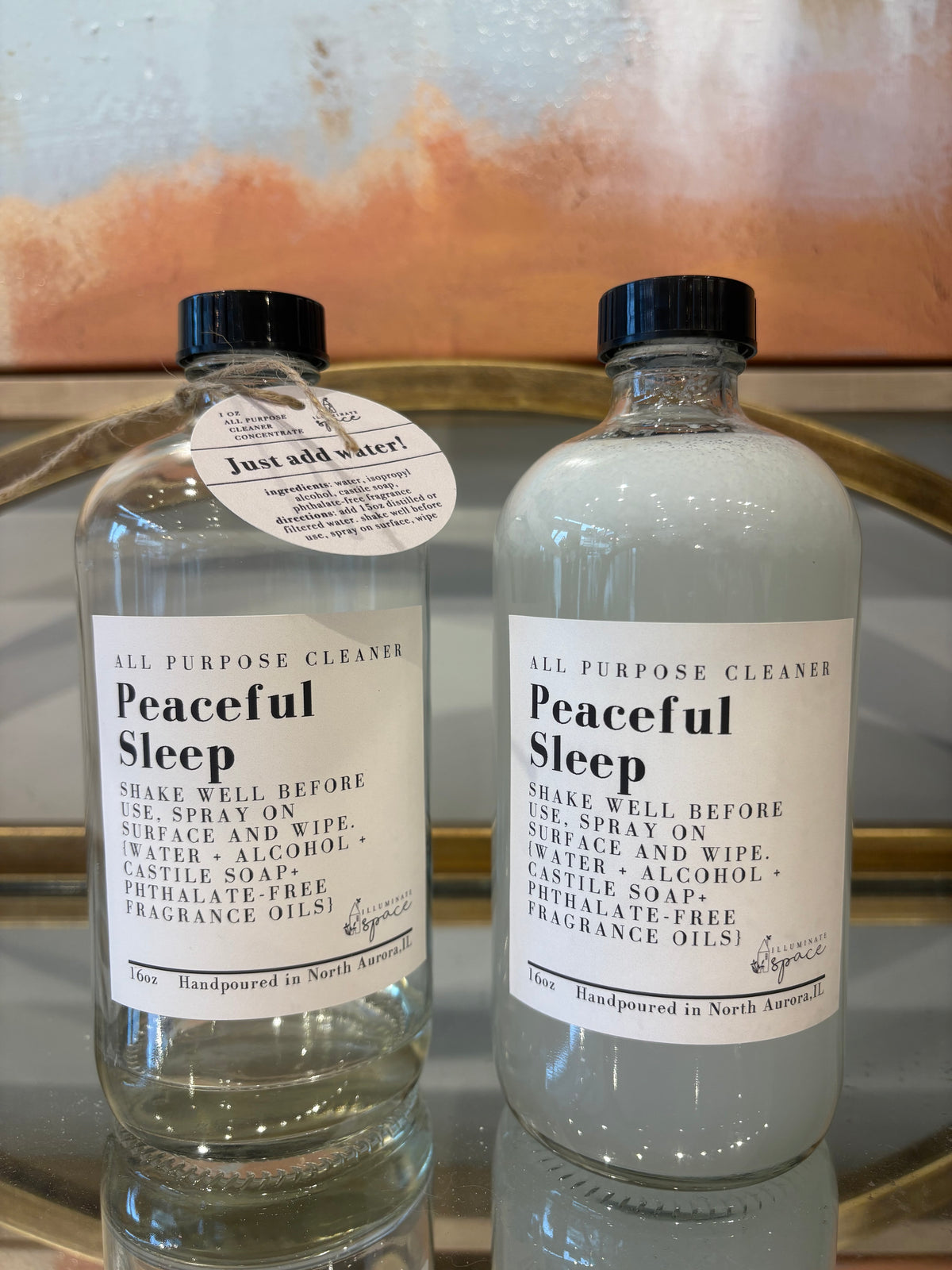 Simple Ingredient- Non-Toxic - All-Purpose Cleaner Spray