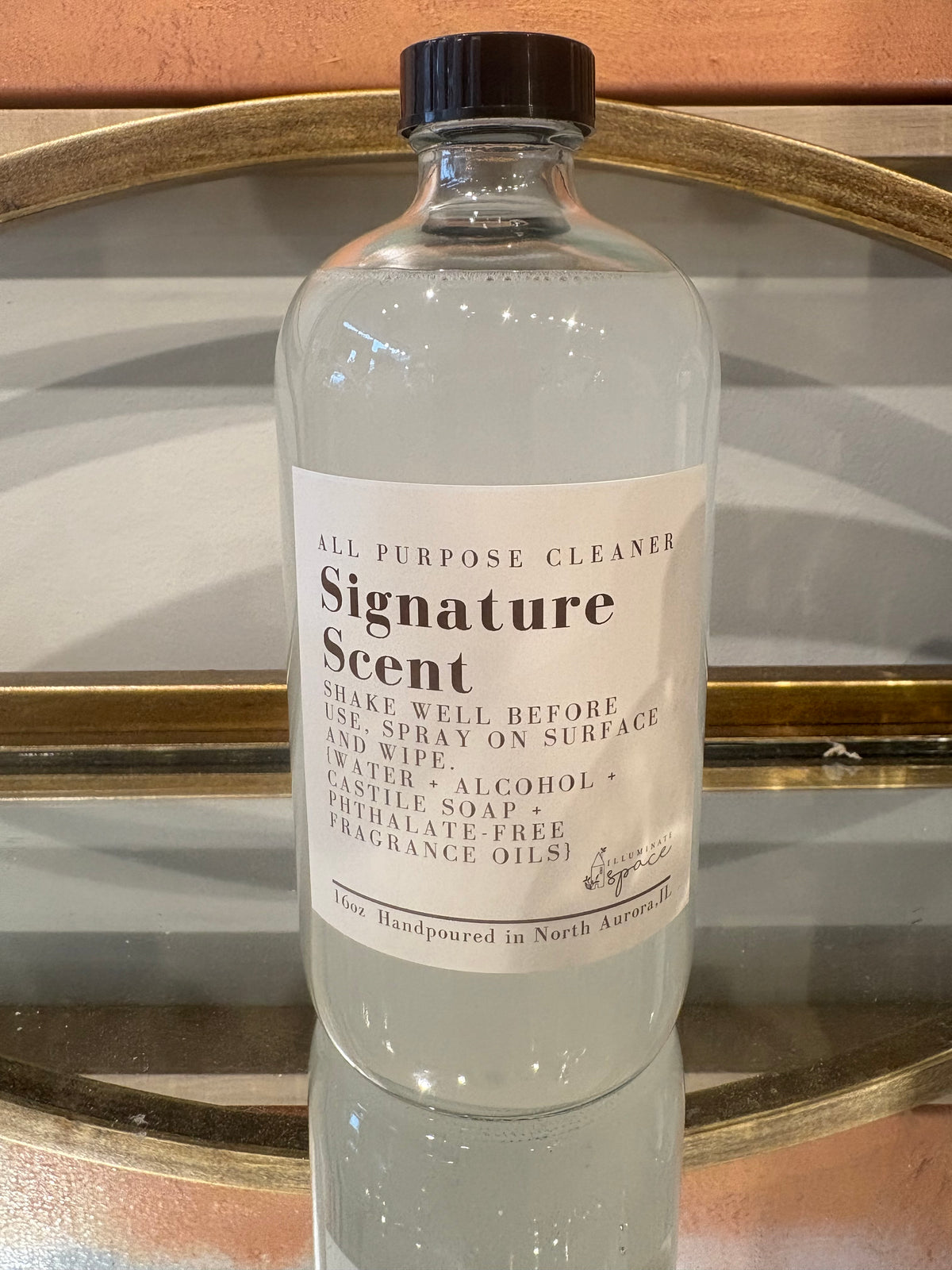 Simple Ingredient- Non-Toxic - All-Purpose Cleaner Spray