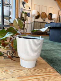White Ribbed Ceramic Planter