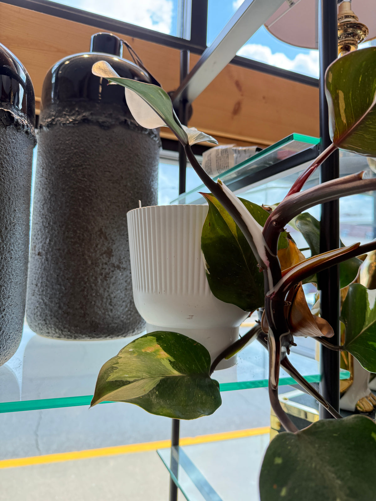 White Ribbed Ceramic Planter