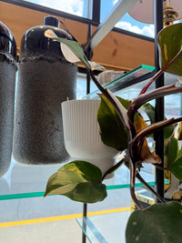 White Ribbed Ceramic Planter