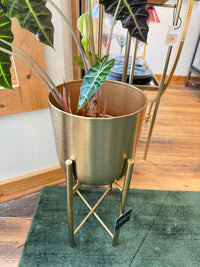 Small Gold Planter on Stand