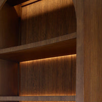 Lighted Bookcase