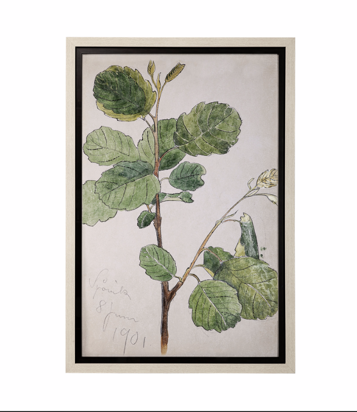 Bald Akvarellmalning Framed Art