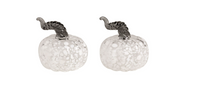 White Pumpkin Salt & Pepper Shaker