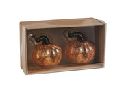 Pumpkin Salt & Pepper Shakers
