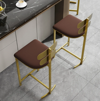 Low Back Modern Counter Stool