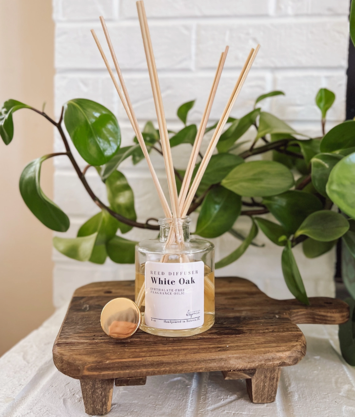 Winter at Wayne Manor Reed Diffuser with Gold Stopper
