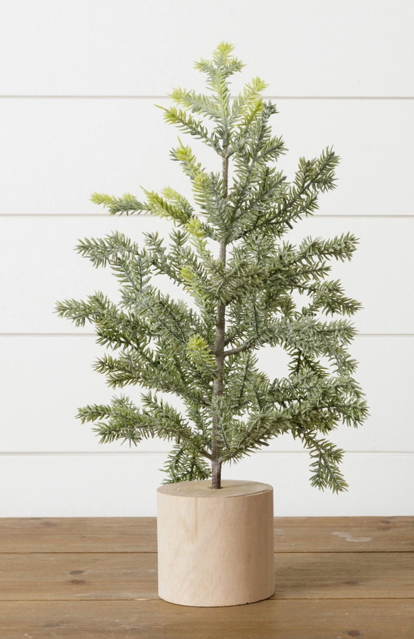 Frosted Pine in Wooden Base