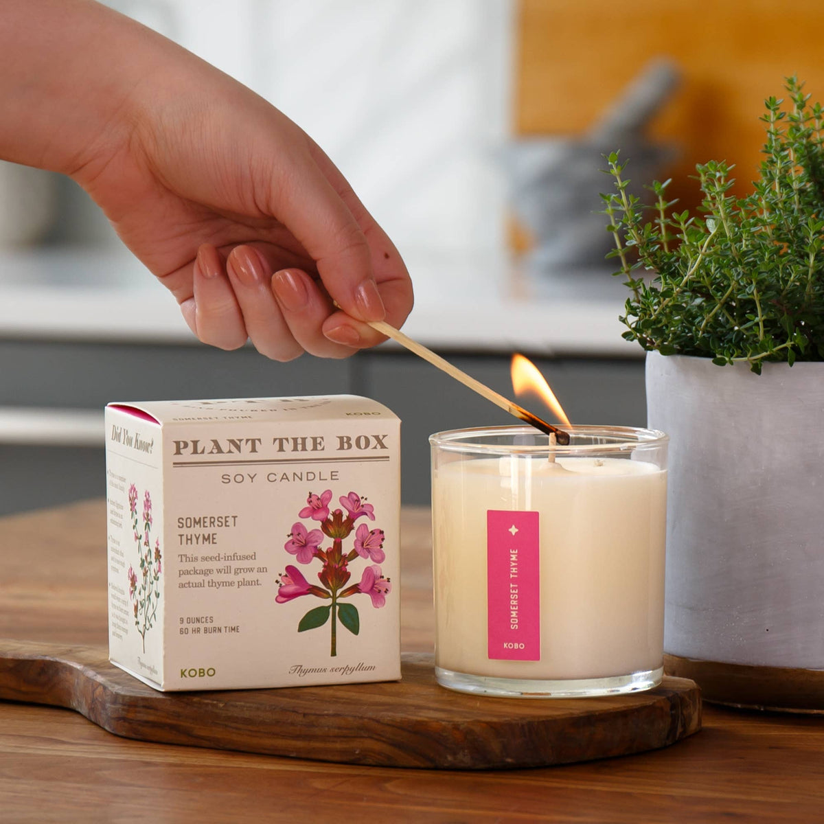 Somerset Thyme - Plant the Box Candle - 9oz.