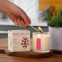 Somerset Thyme - Plant the Box Candle - 9oz.
