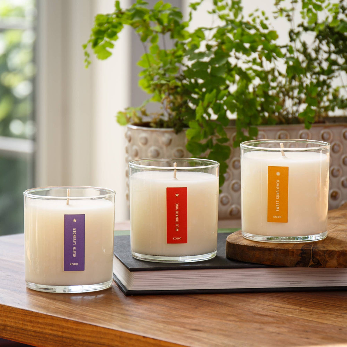Heath Lavender - Plant the Box Candle - 9oz.