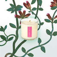 Somerset Thyme - Plant the Box Candle - 9oz.