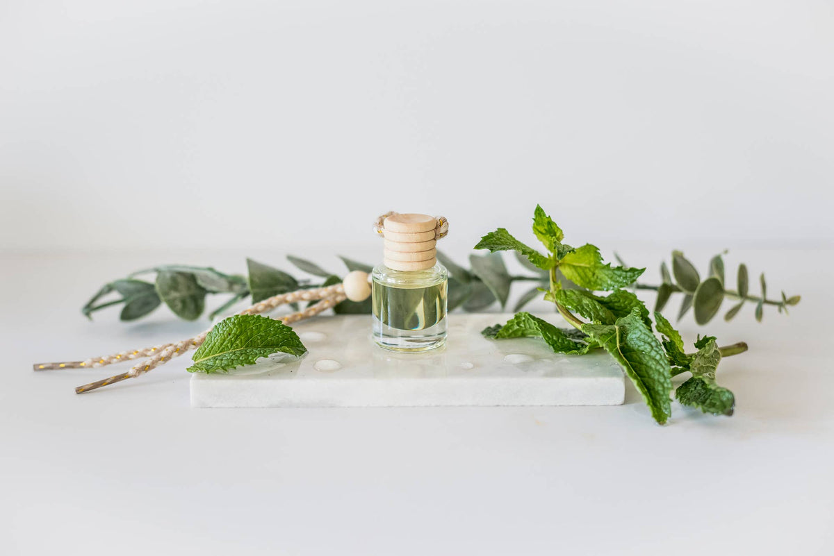 cute-vehicle-scent-diffuser-Eucalyptus-Rain