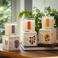 Heath Lavender - Plant the Box Candle - 9oz.