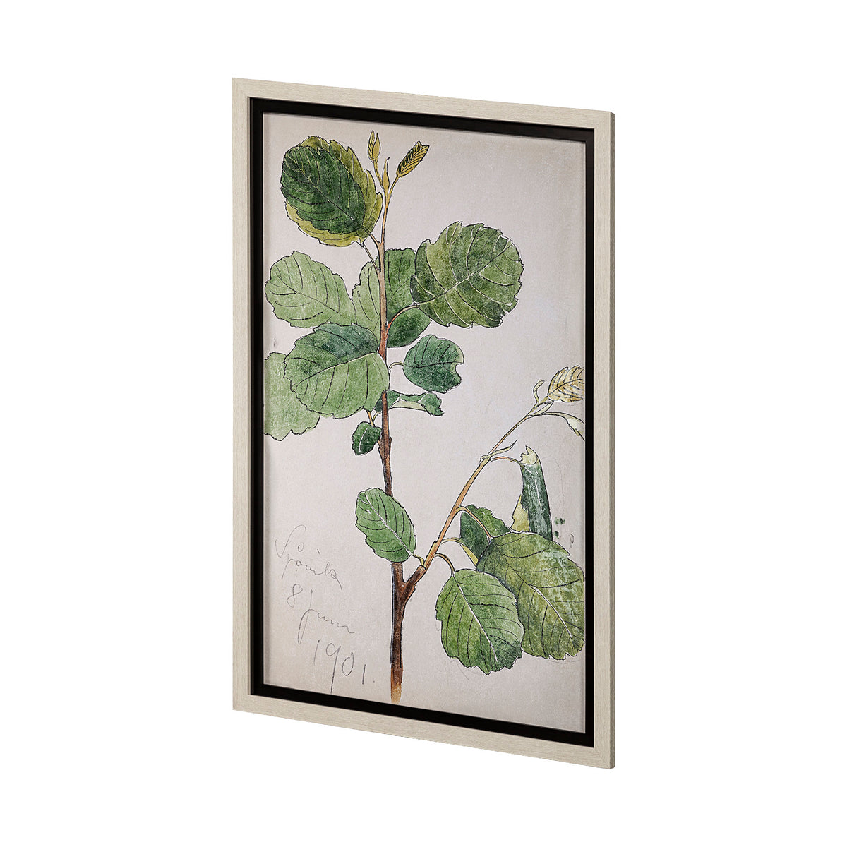 Bald Akvarellmalning Framed Art