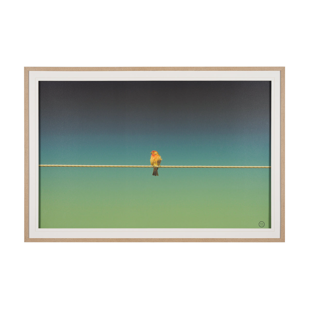 Wired Finch Framed Art