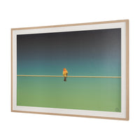 Wired Finch Framed Art